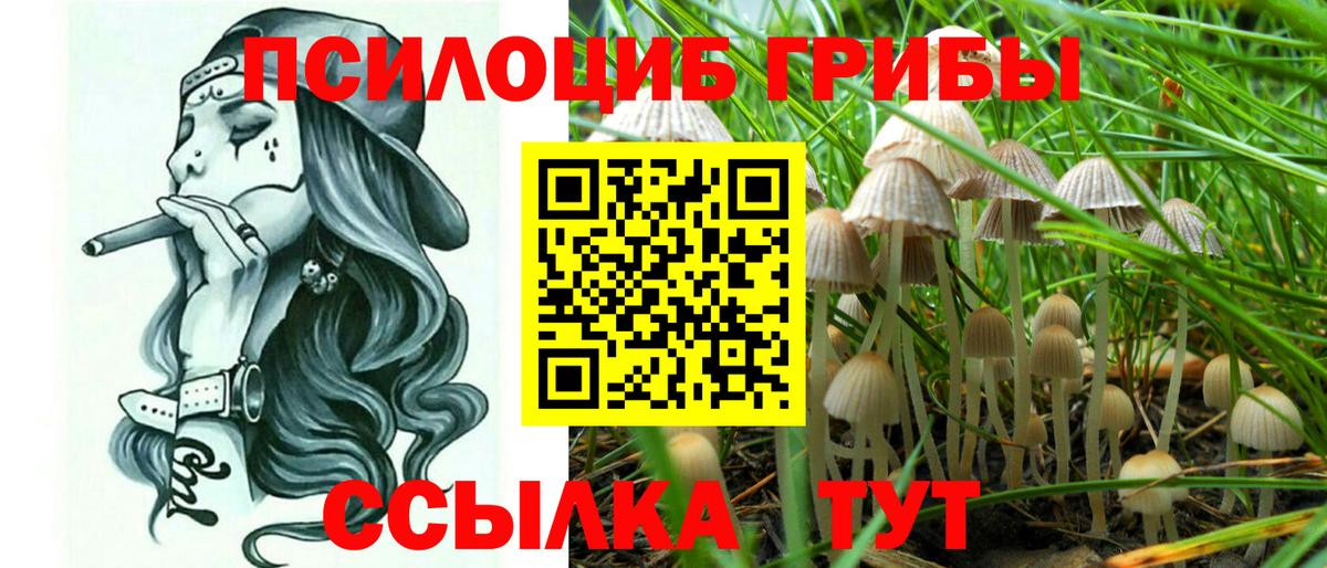 Псилоцибиновые грибы ЛСД Татарск